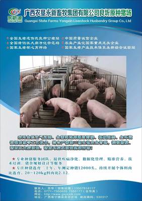 中央財(cái)政230億力挺農(nóng)業(yè)規(guī)模經(jīng)營，生豬邁進(jìn)全國質(zhì)量安全追溯新篇章